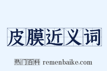 皮膜近义词是什么意思的图片